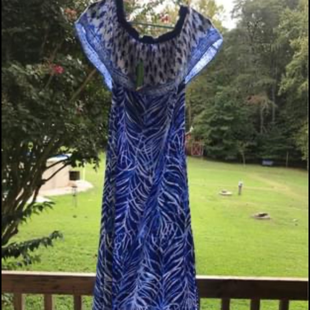 Gorgeous Small NWT Lilly Pulitzer Maxi Dress
